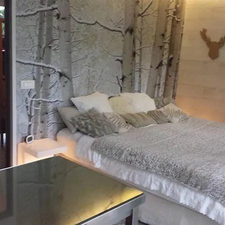 Studio De Luxe Avec Jacuzzi Et Sauna Privatifs