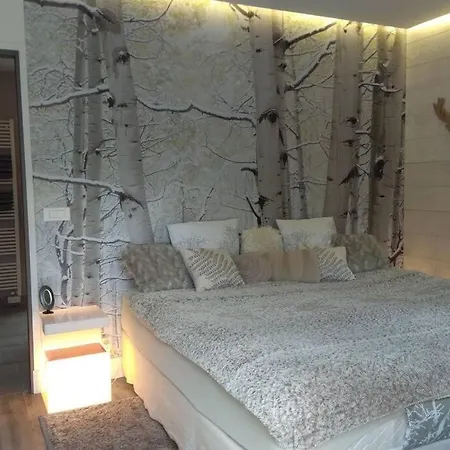 Studio De Luxe Avec Jacuzzi Et Sauna Privatifs 아파트 *